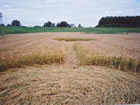 Ridderkerk, 08-08-2001 - Copyright � Peter Moerkerken