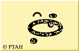 Copyright � Jan-Willem Bobbink 2001