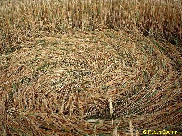 Copyright Robert Boerman