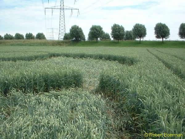 Copyright Robert Boerman