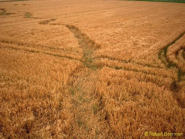 Copyright Robert Boerman