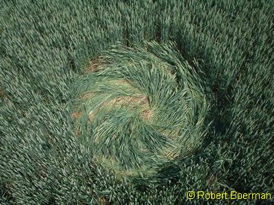 Copyright Robert Boerman