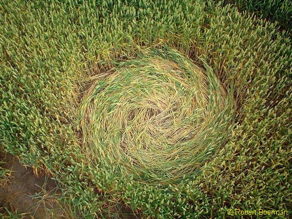 Copyright Robert Boerman