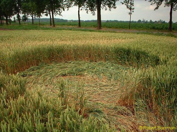 Copyright Robert Boerman