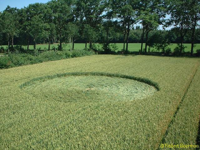 Copyright Robert Boerman