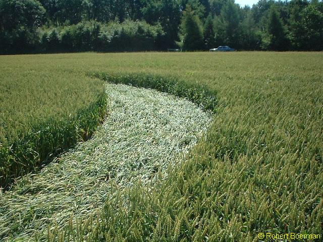 Copyright Robert Boerman