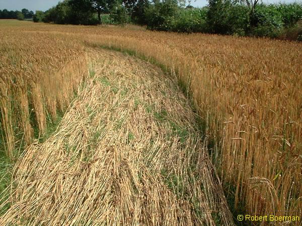 Copyright Robert Boerman