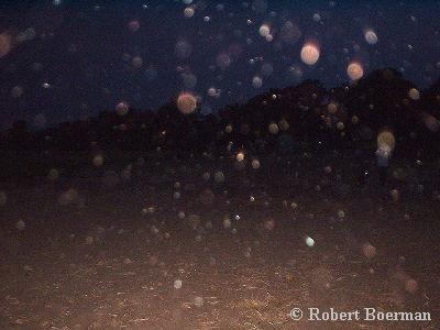 Copyright � Robert Boerman 2001