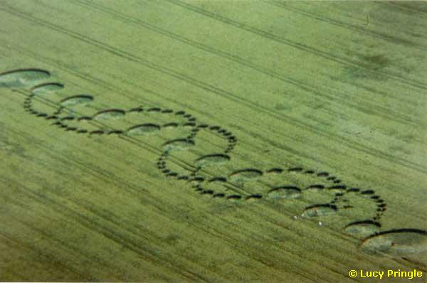 Copyright Robert Boerman